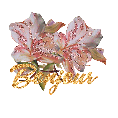 bonjour mes amie bon  vendredi
