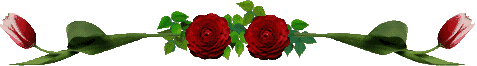 l amour bientot la st valentin les amours