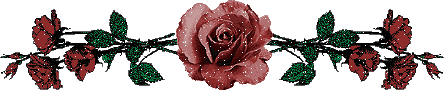 étoile de mon coeur