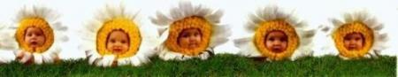quelque petite colection de anne geddes