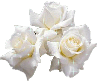 les roses de l amour