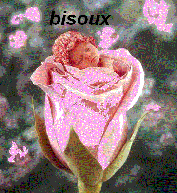 douce rose