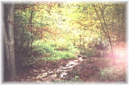 automne
