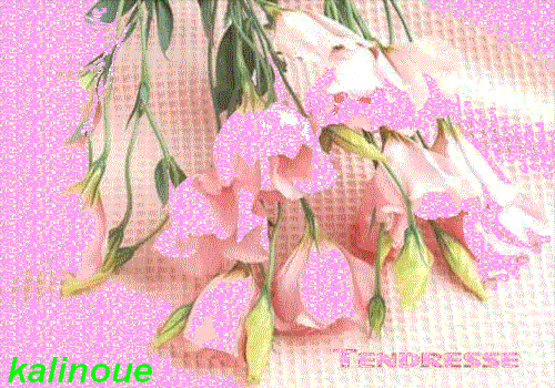 tendresse