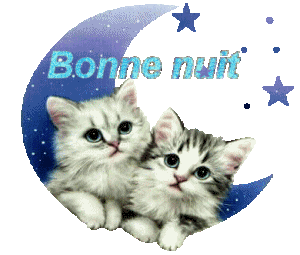 bonne nuits